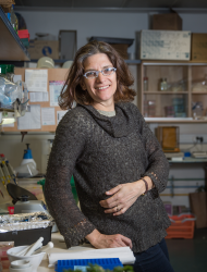 rivka el