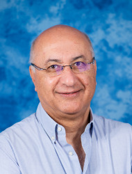 Shlomo Magdassi Shlomo Magdassi 3