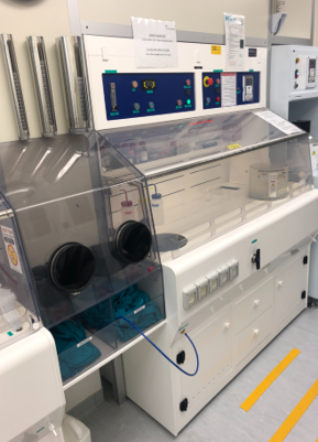 Polymers Workbench