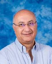 Shlomo Magdassi Shlomo Magdassi 3